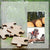 Tooky Toy  Wooden Puzzle - Best4Kids
